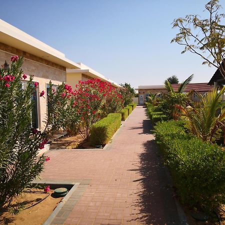 Almorouj Farm Inn - Badīyah المظهر الخارجي الصورة